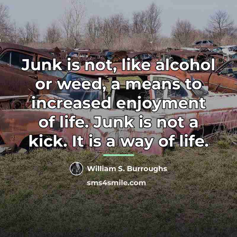 “Junk is not, like alcohol or weed, a means to…” quote by William S. Burroughs