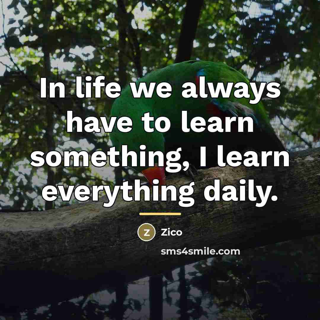 “In life we always have to learn something, I learn…” quote by Zico