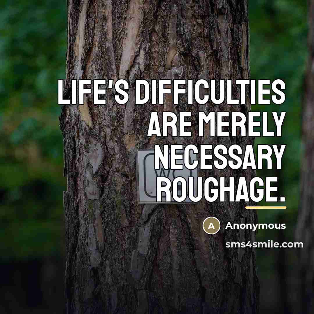 “Life's difficulties are merely necessary roughage.…” quote by Anonymous