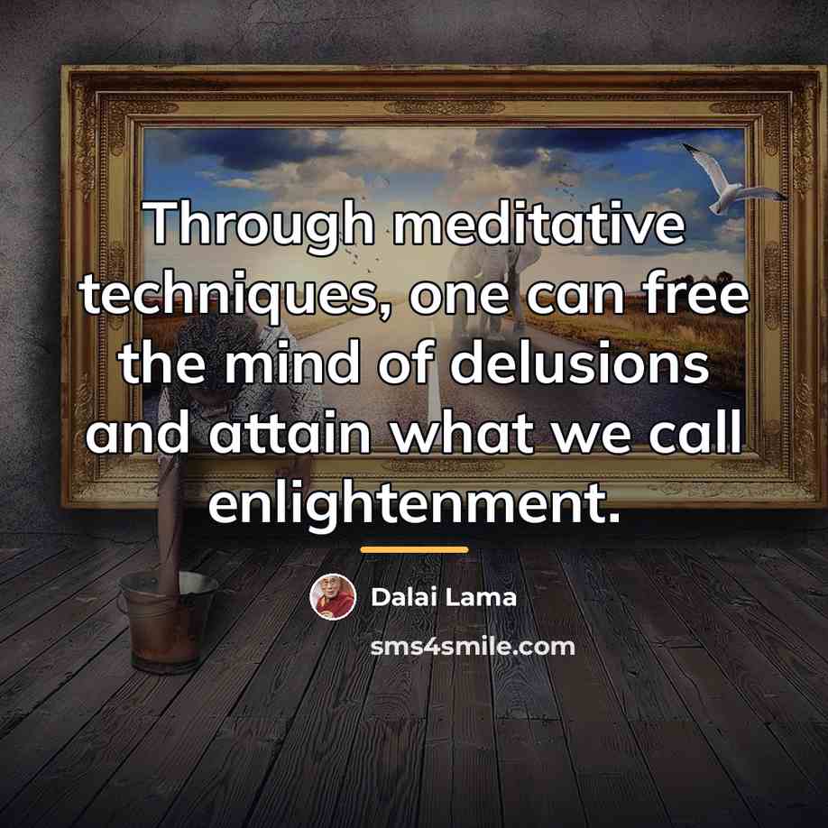 “Through meditative techniques, one can free the mind of delusions…” quote by Dalai Lama