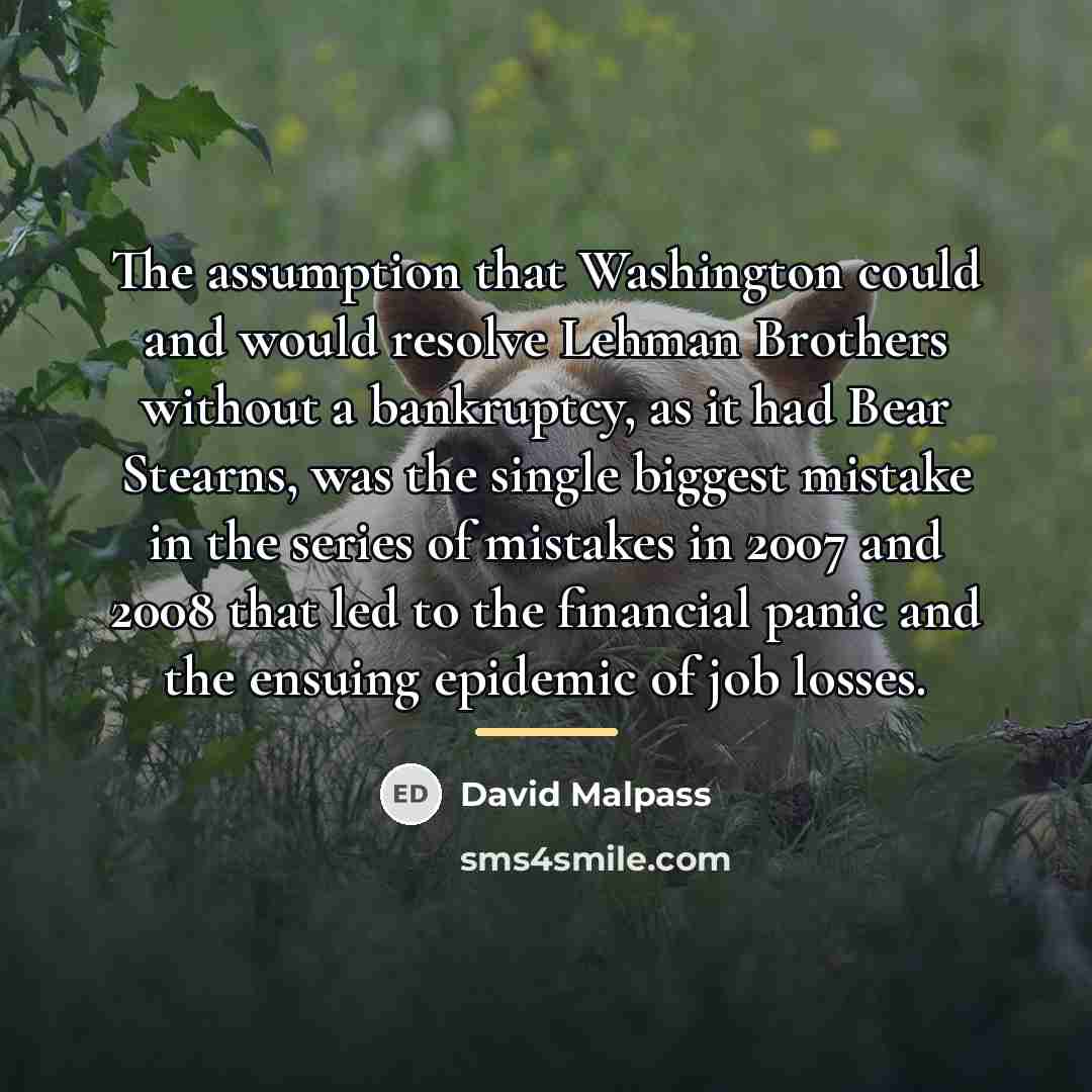 “The assumption that Washington could and would resolve Lehman Brothers…” quote by David Malpass