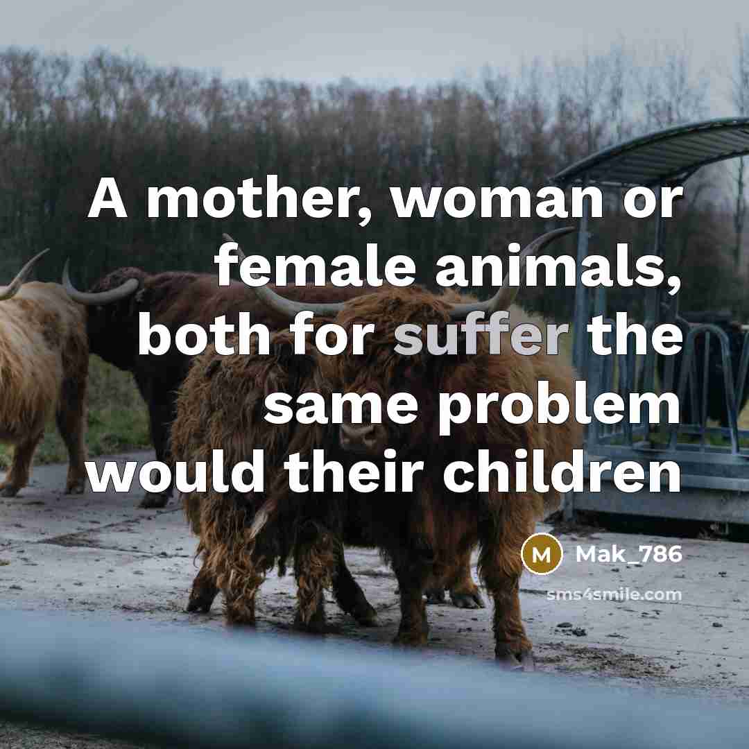“A mother, woman or female animals, both for suffer the…” quote by Mak_786