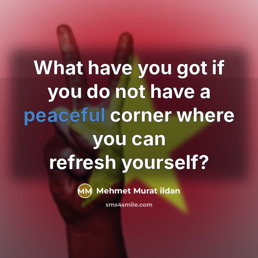 “What have you got if you do not have a…” quote by Mehmet Murat Ildan