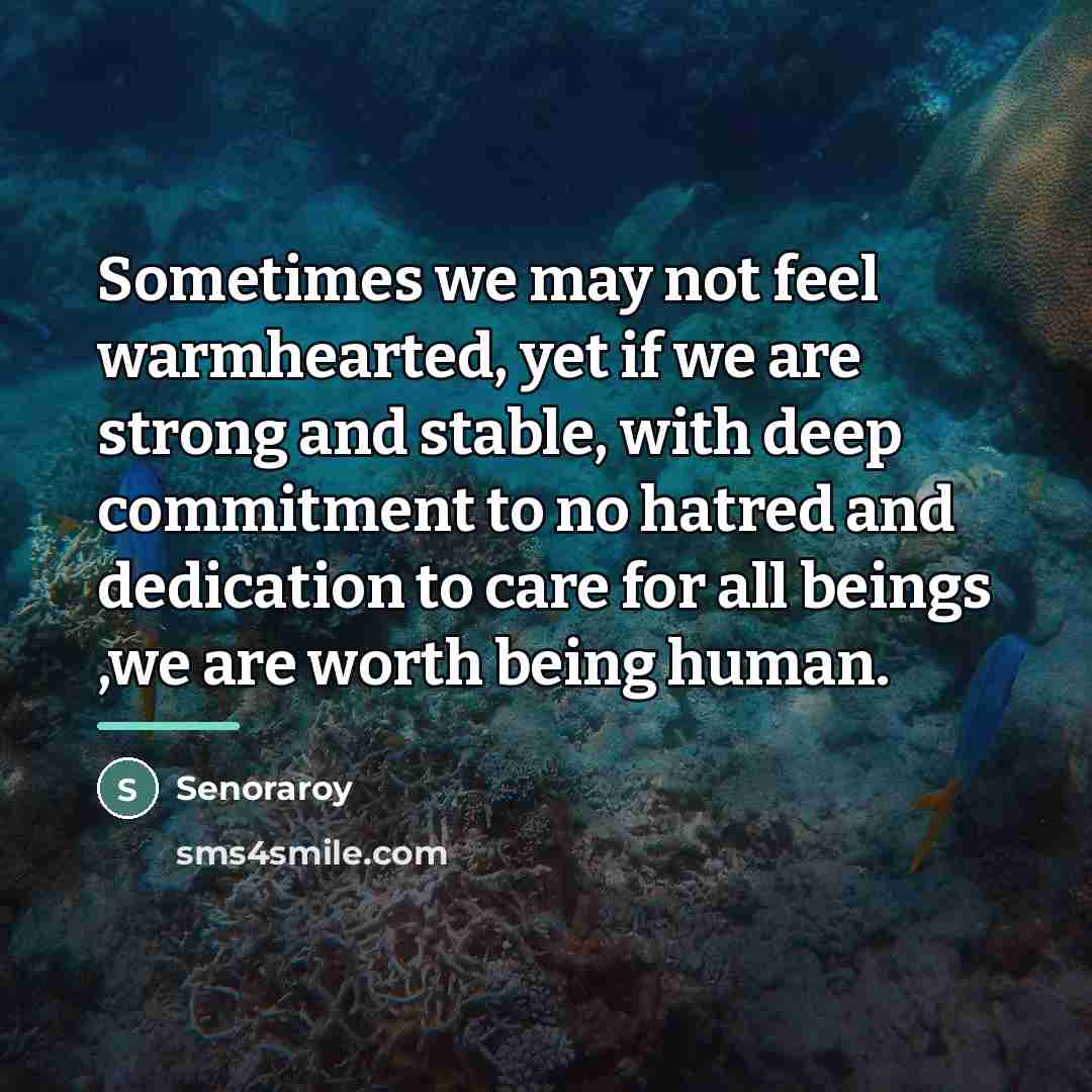 “Sometimes we may not feel warmhearted, yet if we are…” quote by Senoraroy