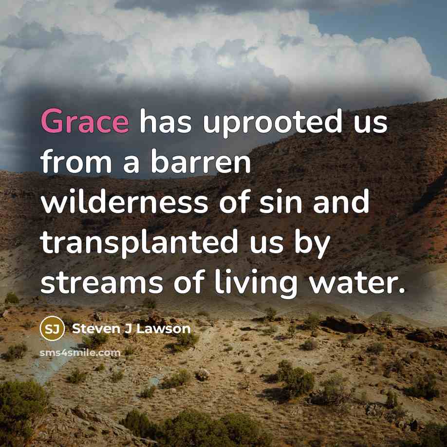 “Grace has uprooted us from a barren wilderness of sin…” quote by Steven J Lawson