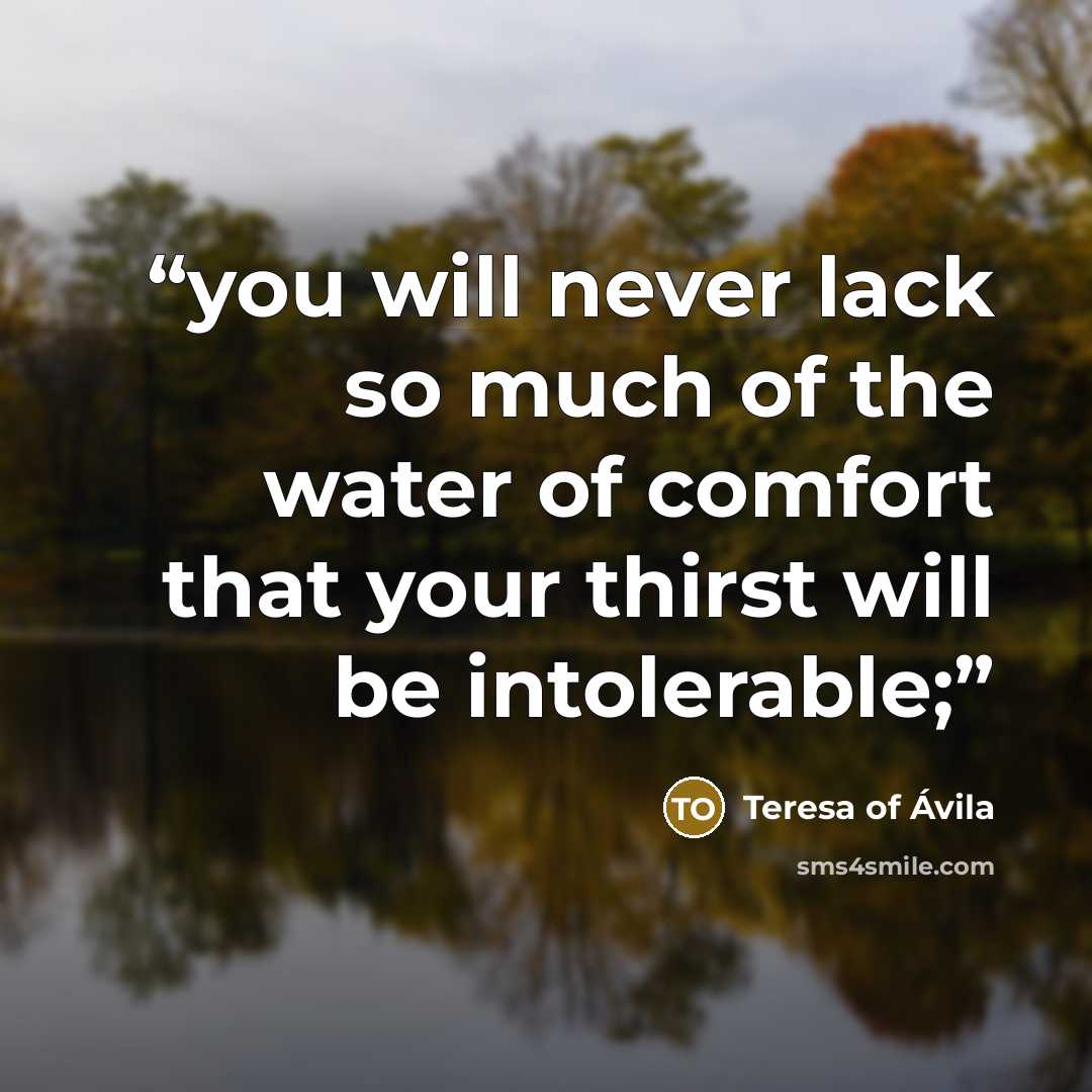 “you will never lack so much of the water of comfort that your thirst will be intolerable;” quote by Teresa of Ávila
