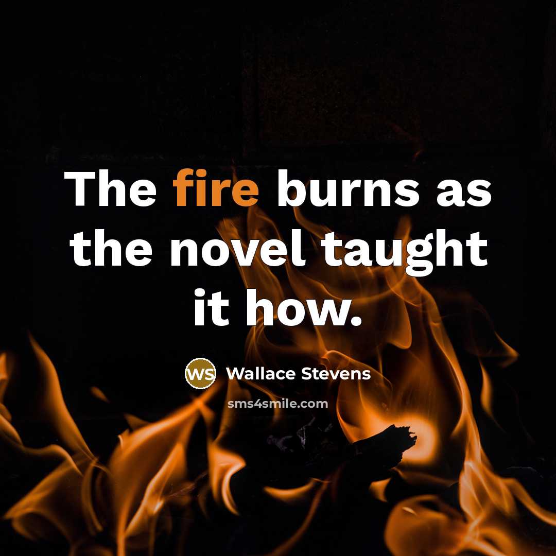 “The fire burns as the novel taught it how.…” quote by Wallace Stevens
