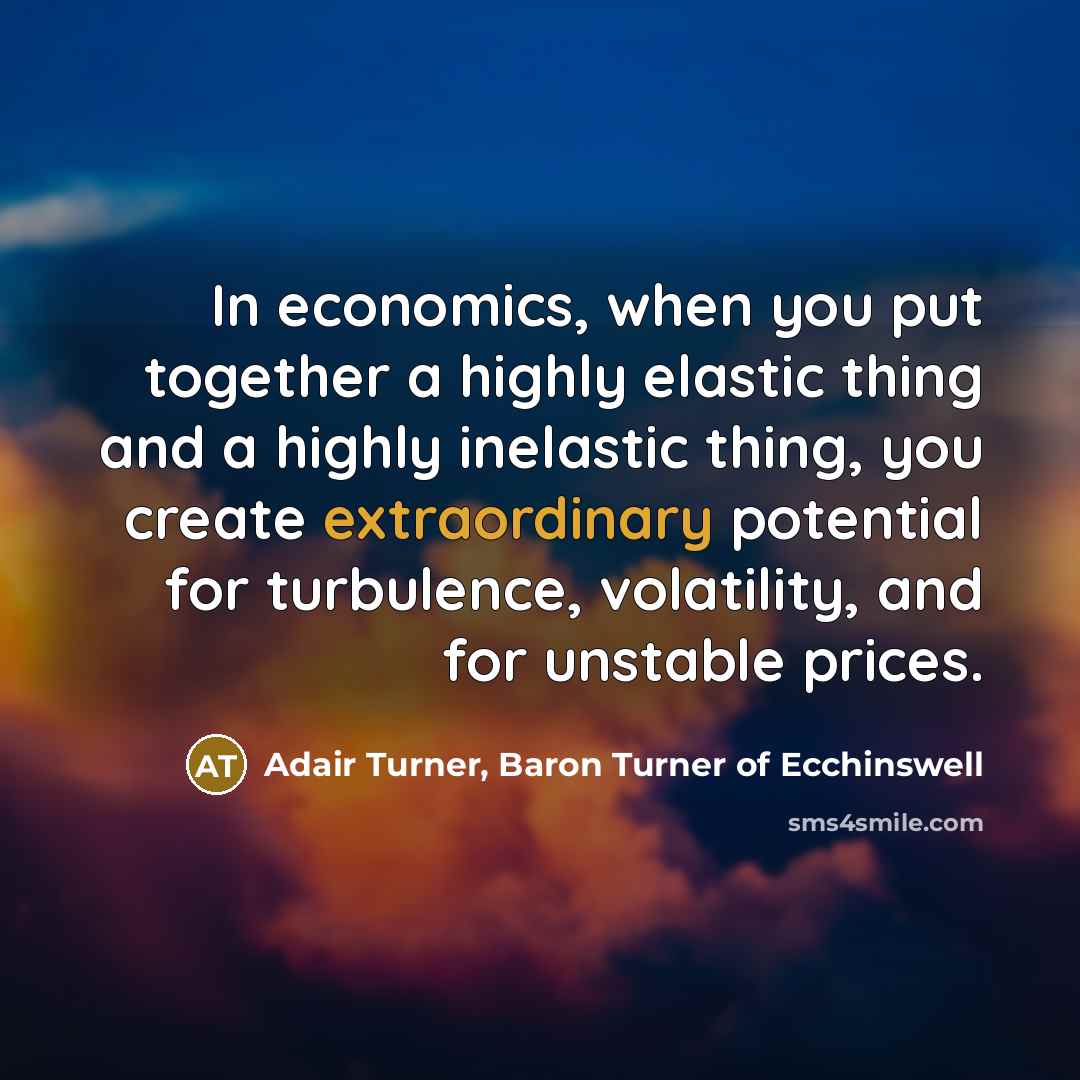 “In economics, when you put together a highly elastic thing…” quote by Adair Turner, Baron Turner of Ecchinswell