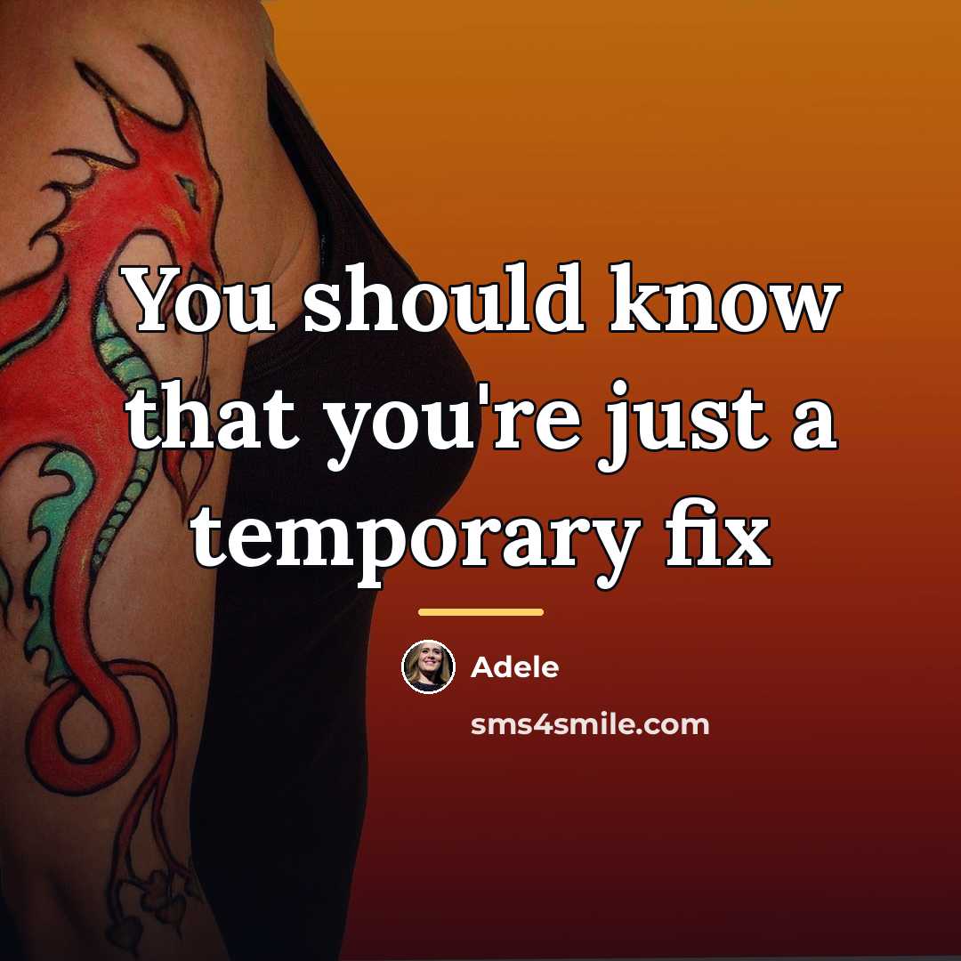 “You should know that you're just a temporary fix…” quote by Adele