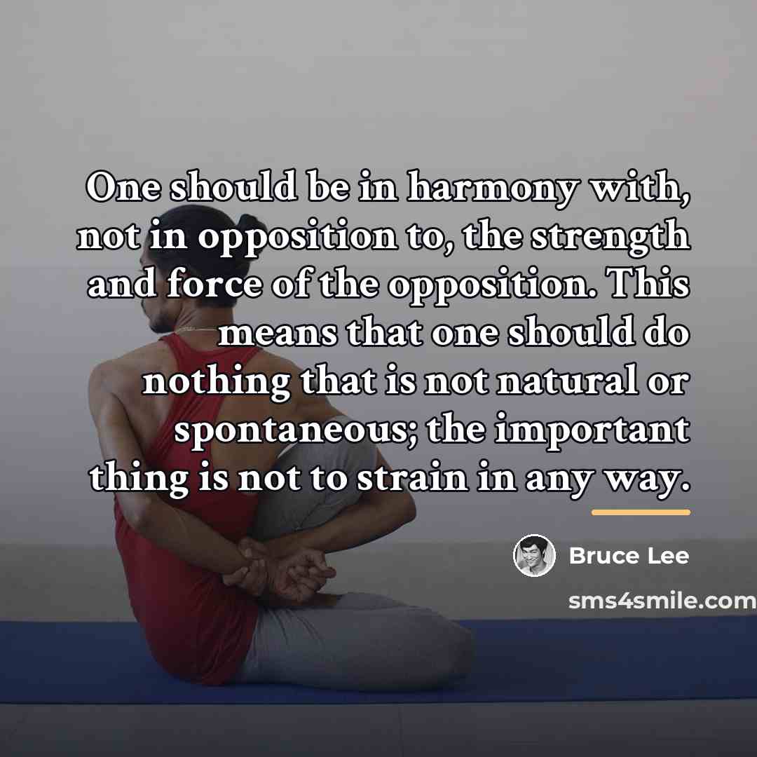 “One should be in harmony with, not in opposition to,…” quote by Bruce Lee