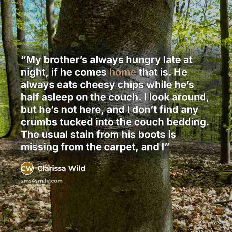 “My brother’s always hungry late at night, if he comes home that is. He always eats cheesy chips while he’s half asleep on the couch. I look around, but he’s not here, and I don’t find any crumbs tucked into the couch bedding. The usual stain from his boots is missing from the carpet, and I” quote by Clarissa Wild