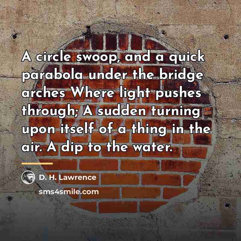 “A circle swoop, and a quick parabola under the bridge…” quote by D. H. Lawrence