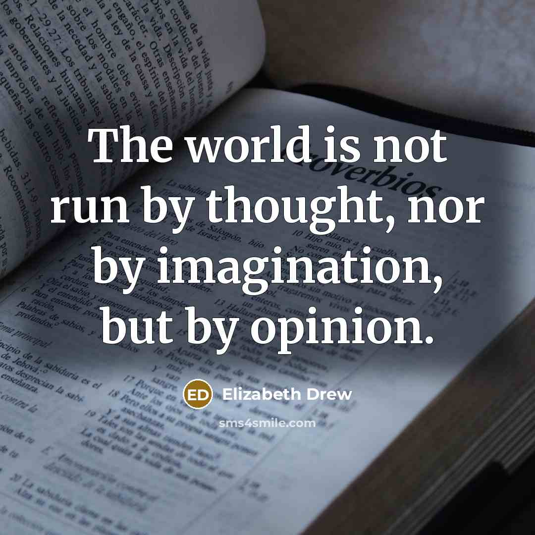 “The world is not run by thought, nor by imagination,…” quote by Elizabeth Drew