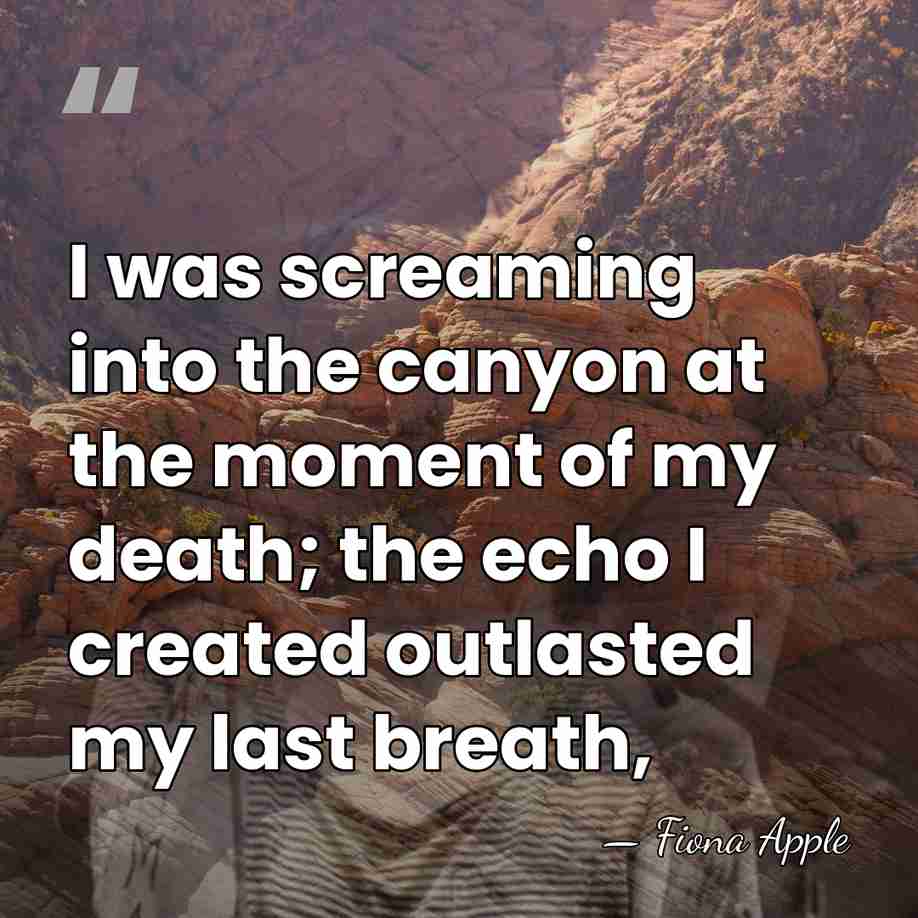 I was screaming into the canyon at the moment of my death;&hellip; - Fiona Apple