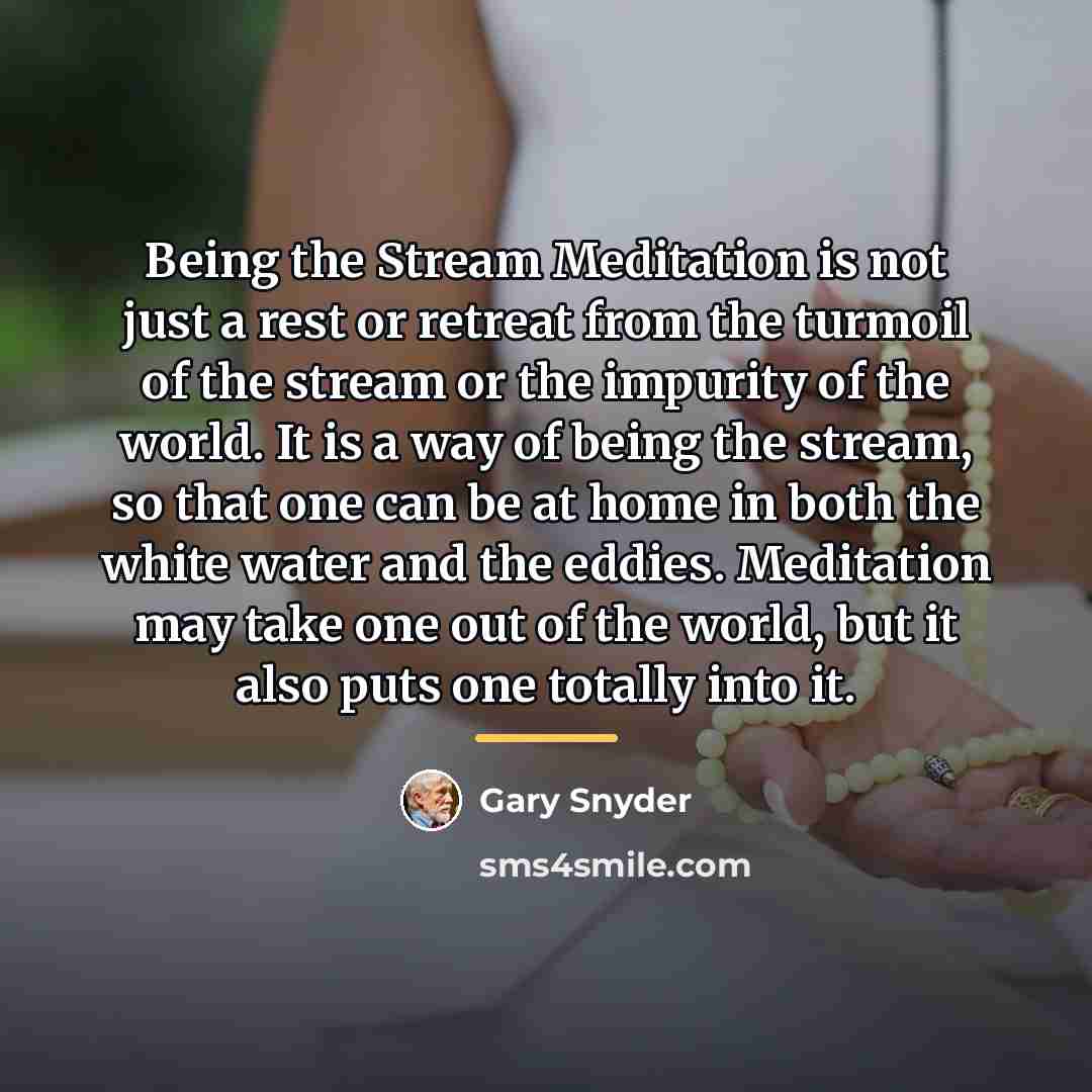 “Being the Stream Meditation is not just a rest or…” quote by Gary Snyder