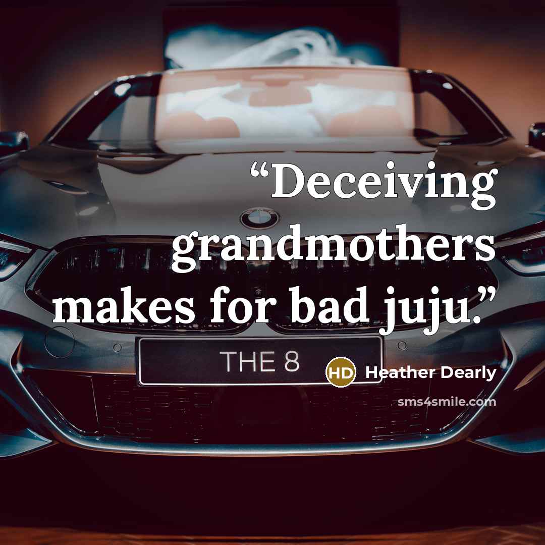 “Deceiving grandmothers makes for bad juju.” quote by Heather Dearly