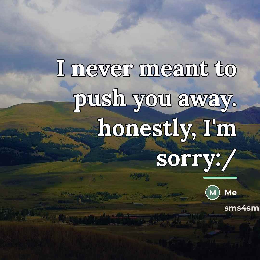 “I never meant to push you away. honestly, I'm sorry:/…” quote by Me