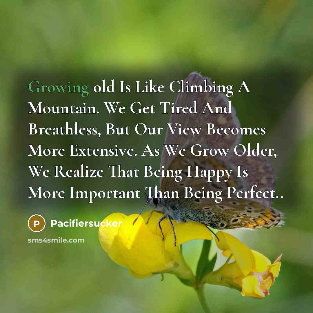 “Growing old Is Like Climbing A Mountain. We Get Tired…” quote by Pacifiersucker