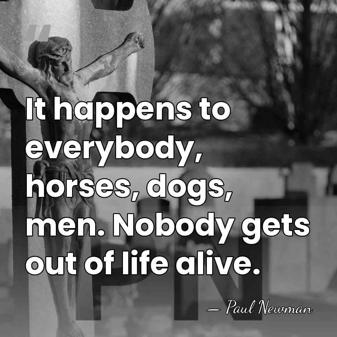 It happens to everybody, horses, dogs, men. Nobody gets out of life&hellip; - Paul Newman