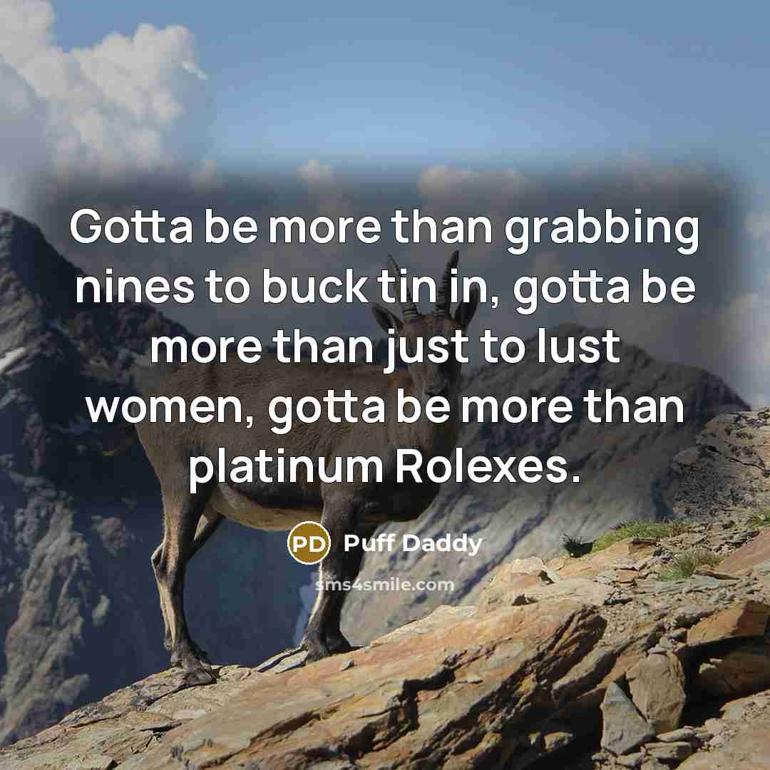 “Gotta be more than grabbing nines to buck tin in,…” quote by Puff Daddy