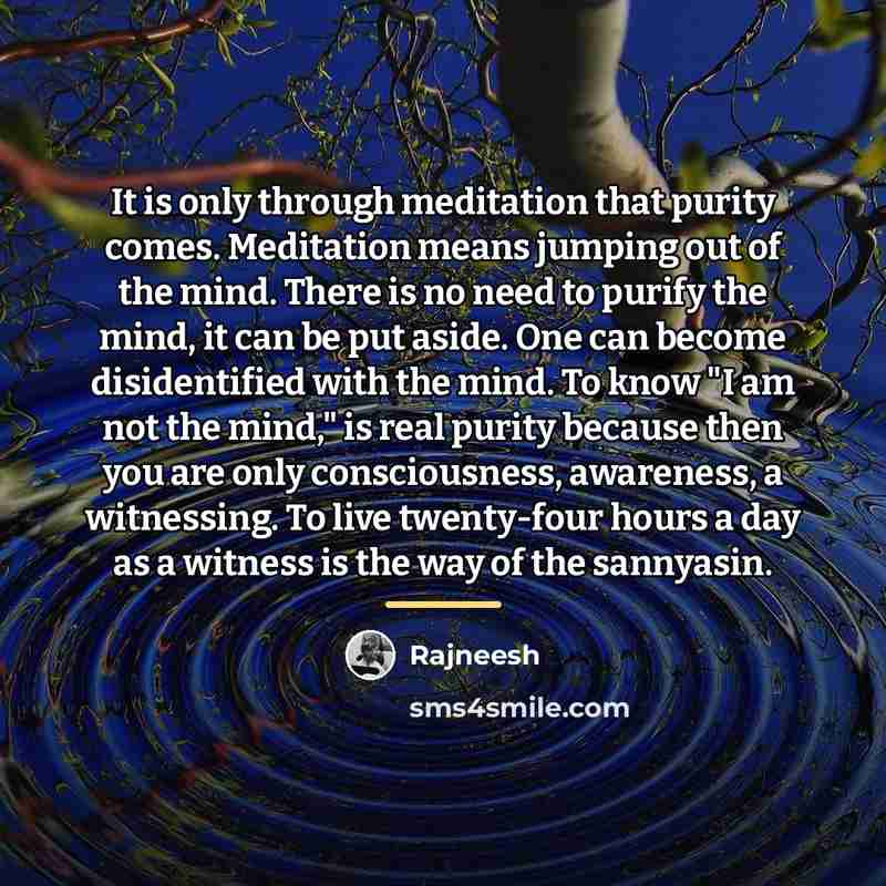 “It is only through meditation that purity comes. Meditation means…” quote by Rajneesh