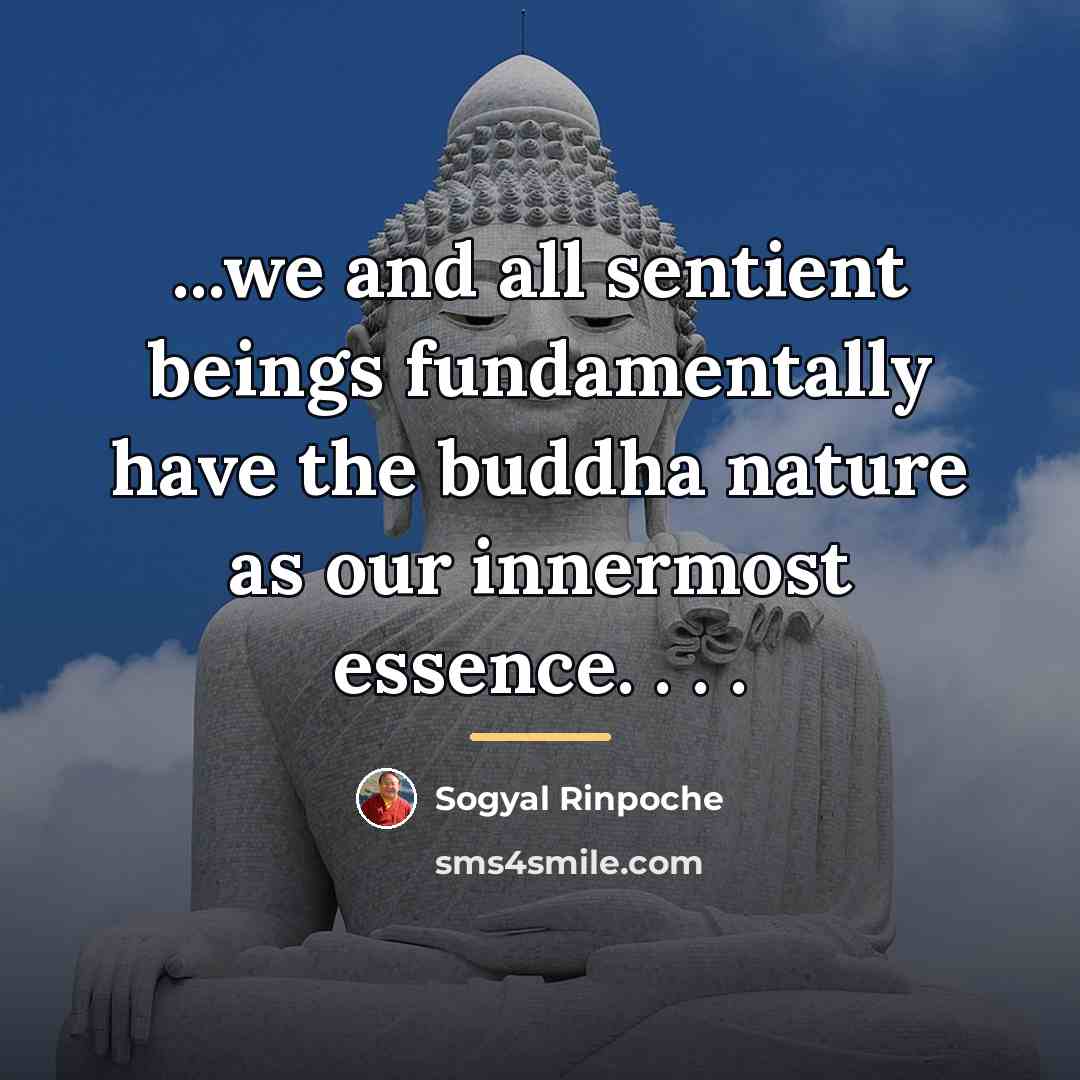 “...we and all sentient beings fundamentally have the buddha nature…” quote by Sogyal Rinpoche