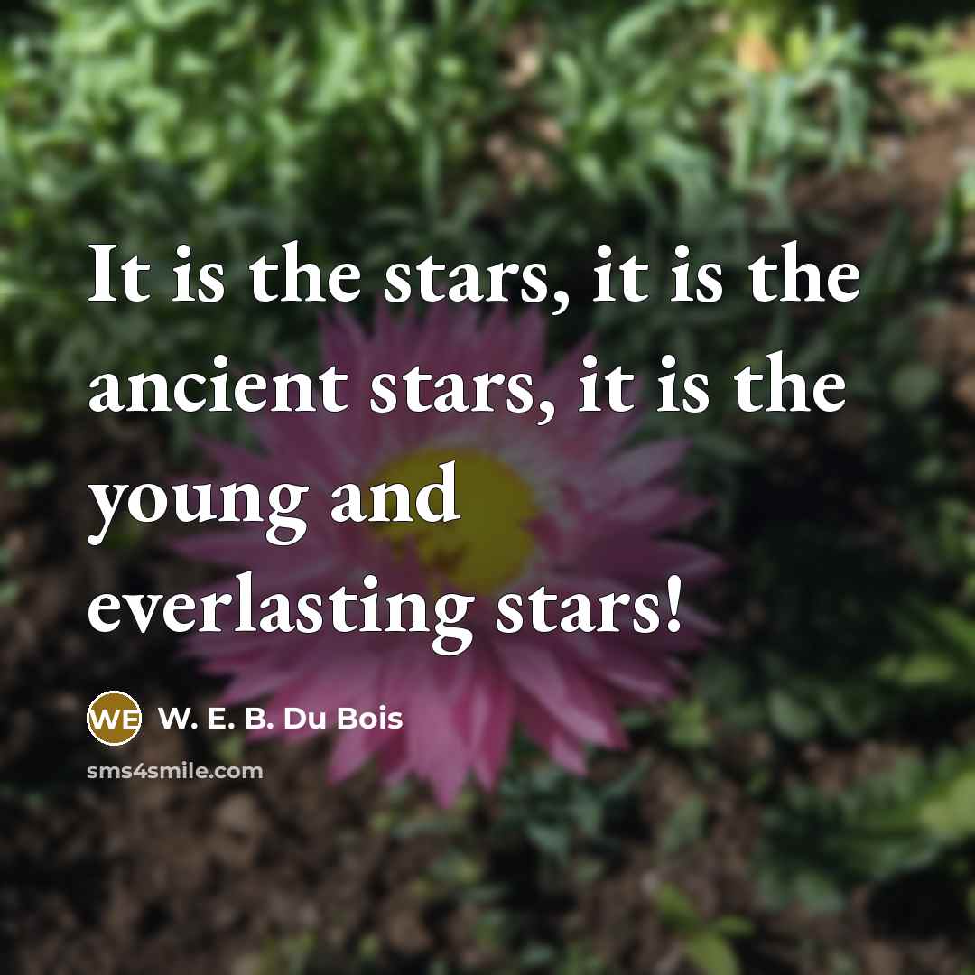 “It is the stars, it is the ancient stars, it…” quote by W. E. B. Du Bois