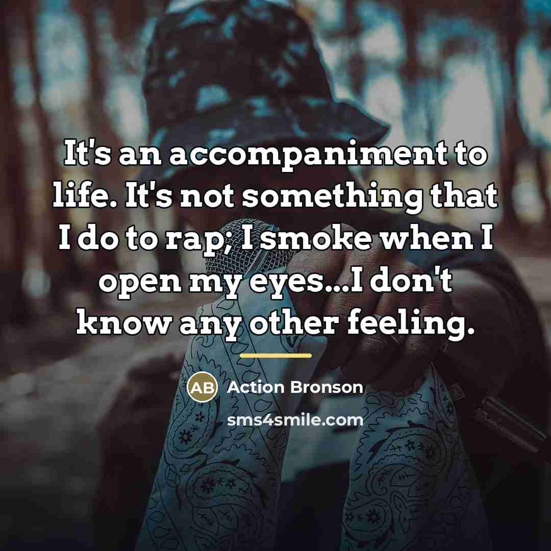 “It's an accompaniment to life. It's not something that I…” quote by Action Bronson