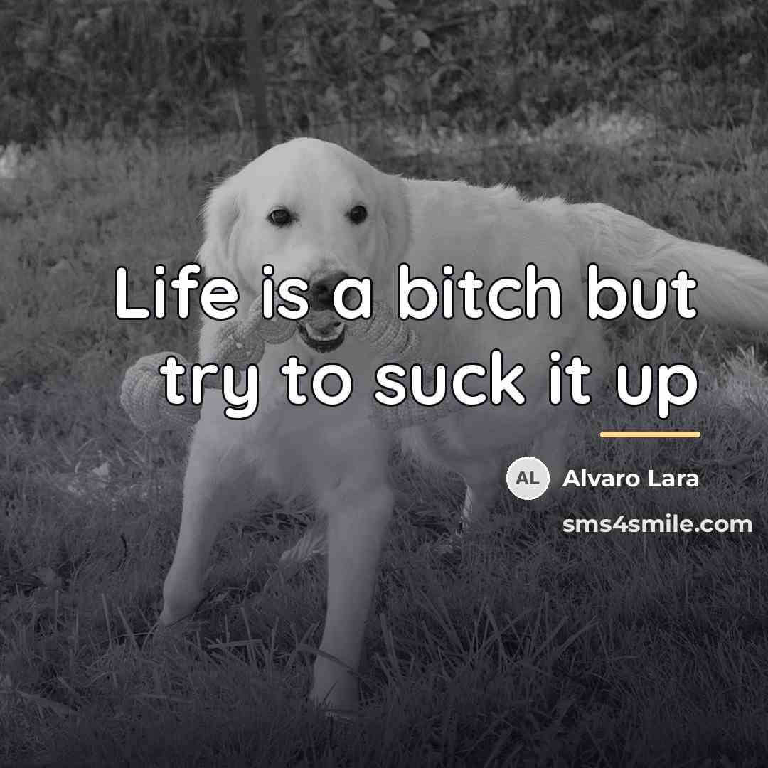 “Life is a bitch but try to suck it up…” quote by Alvaro Lara