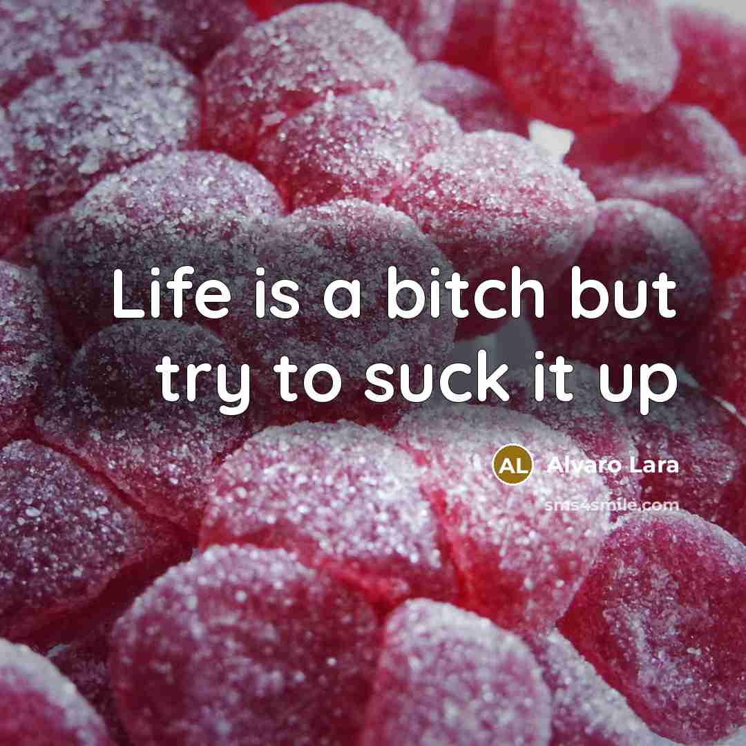 “Life is a bitch but try to suck it up” quote by Alvaro Lara
