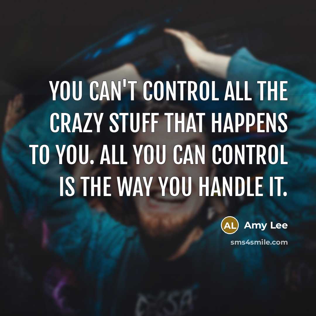 “You can't control all the crazy stuff that happens to…” quote by Amy Lee