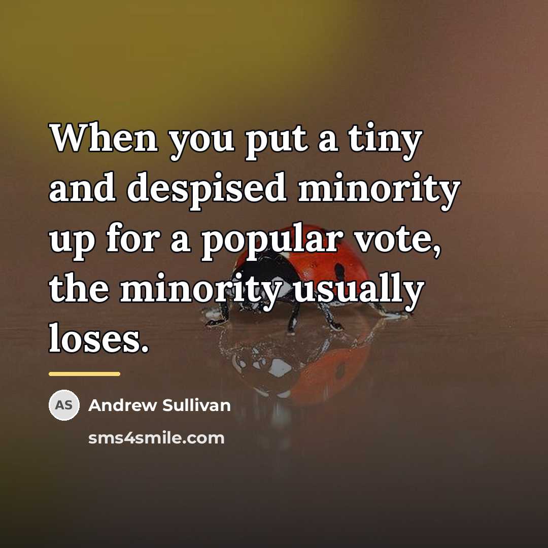 “When you put a tiny and despised minority up for…” quote by Andrew Sullivan