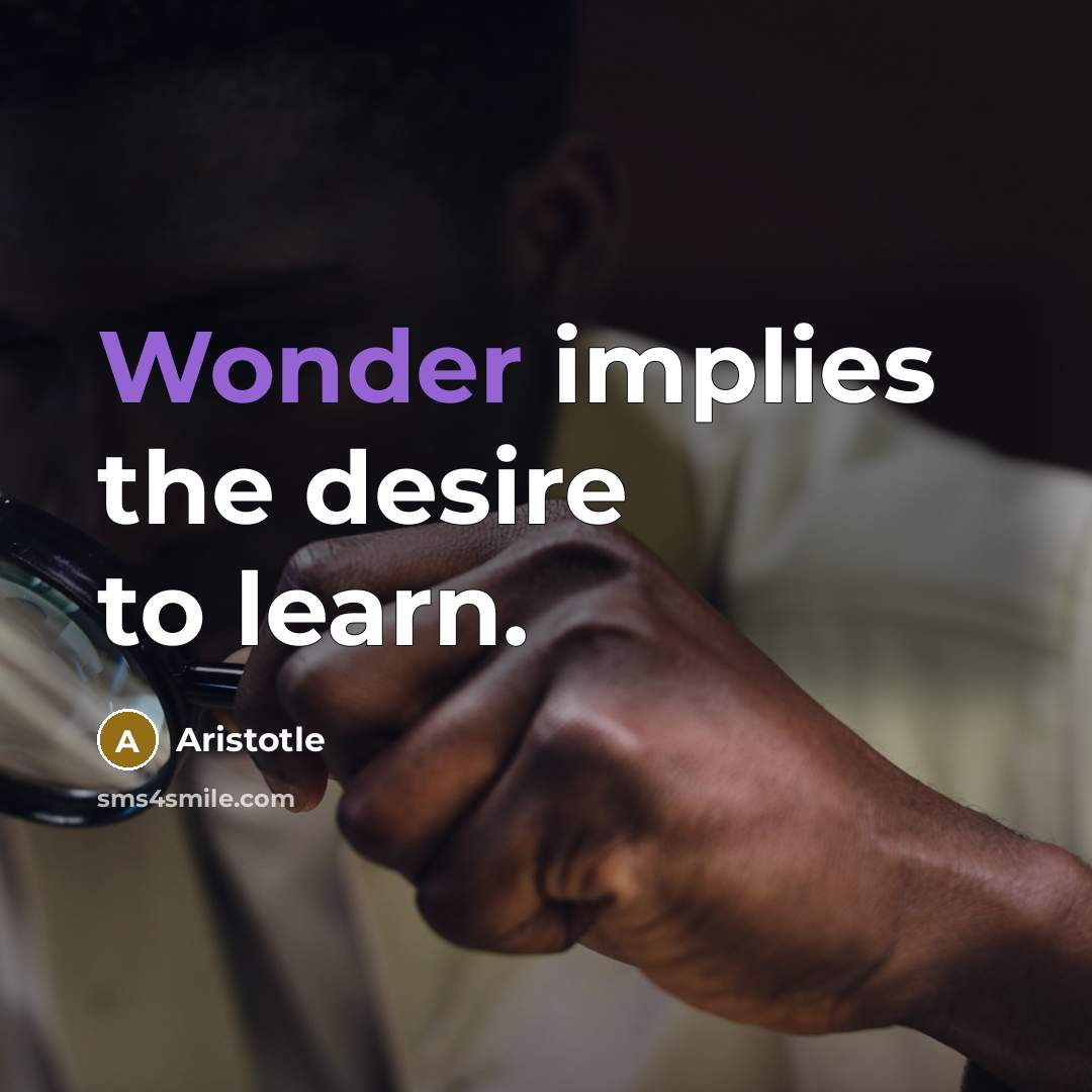 “Wonder implies the desire to learn.…” quote by Aristotle
