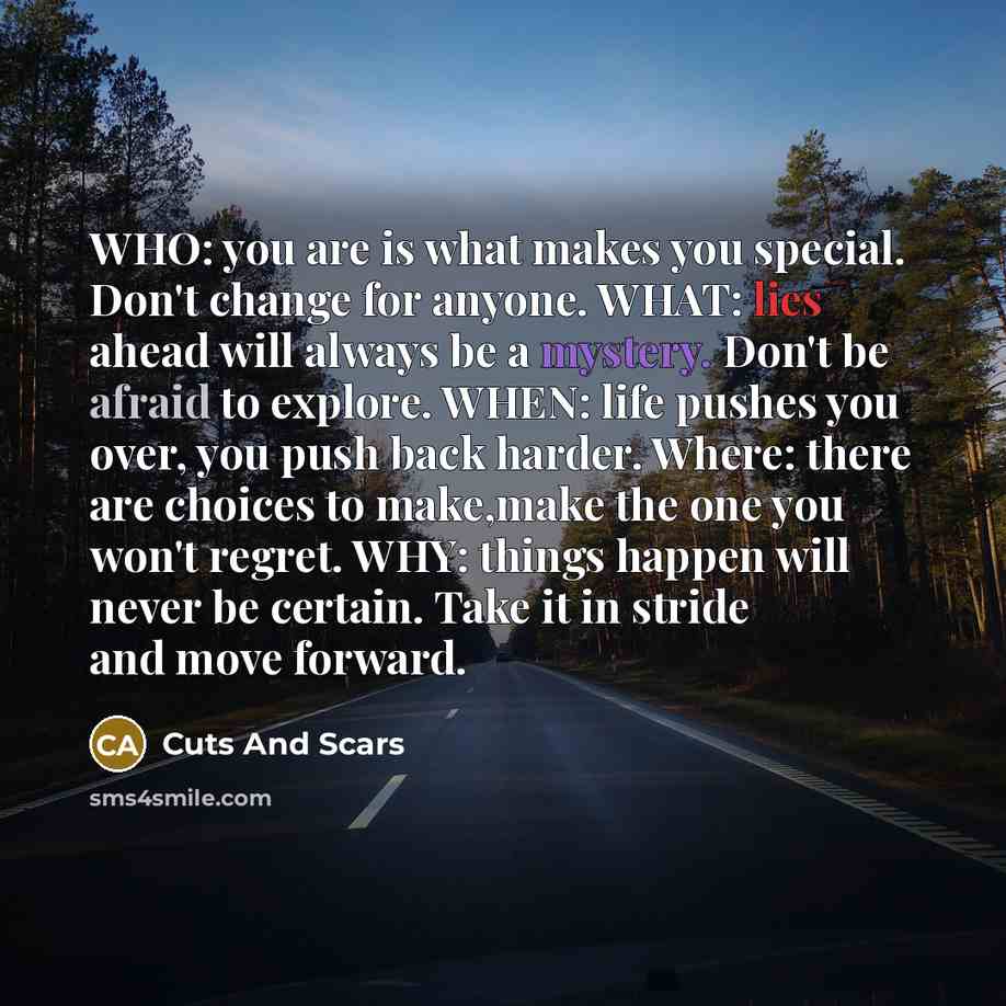 “WHO: you are is what makes you special. Don't change for anyone. WHAT: lies ahead will always be a mystery. Don't be afraid to explore. WHEN: life pushes you over, you push back harder. Where: there are choices to make,make the one you won't regret. WHY: things happen will never be certain. Take…” quote by Cuts And Scars