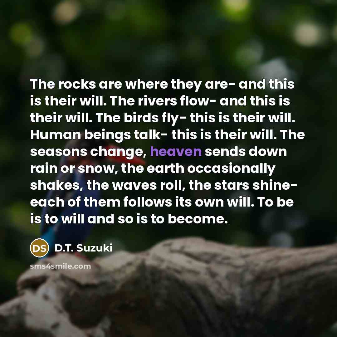 “The rocks are where they are- and this is their…” quote by D.T. Suzuki