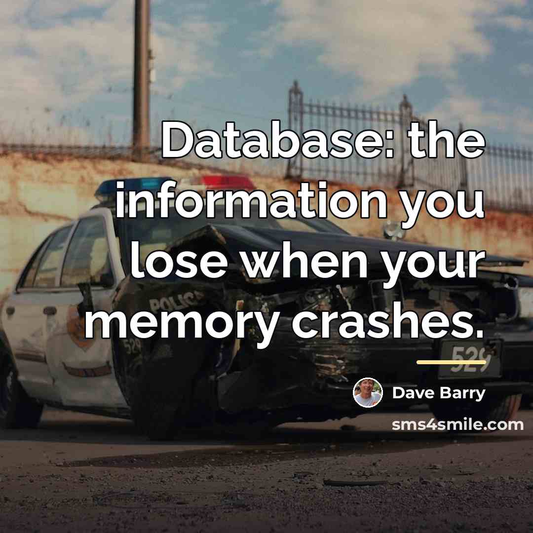 “Database: the information you lose when your memory crashes.…” quote by Dave Barry