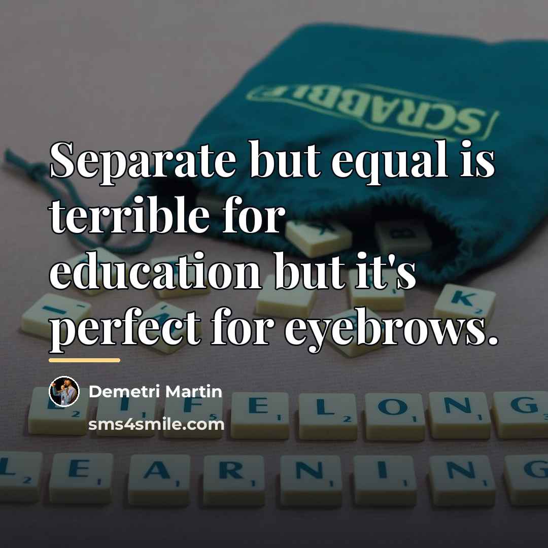 “Separate but equal is terrible for education but it's perfect…” quote by Demetri Martin