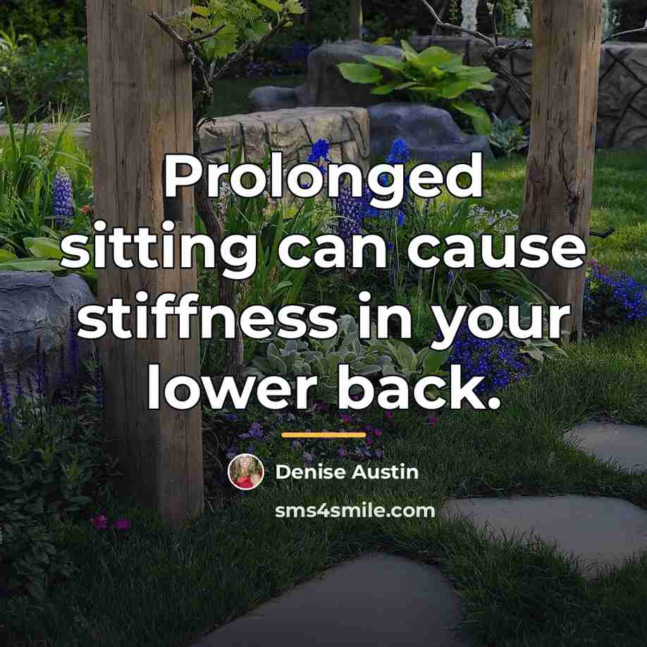 “Prolonged sitting can cause stiffness in your lower back.…” quote by Denise Austin