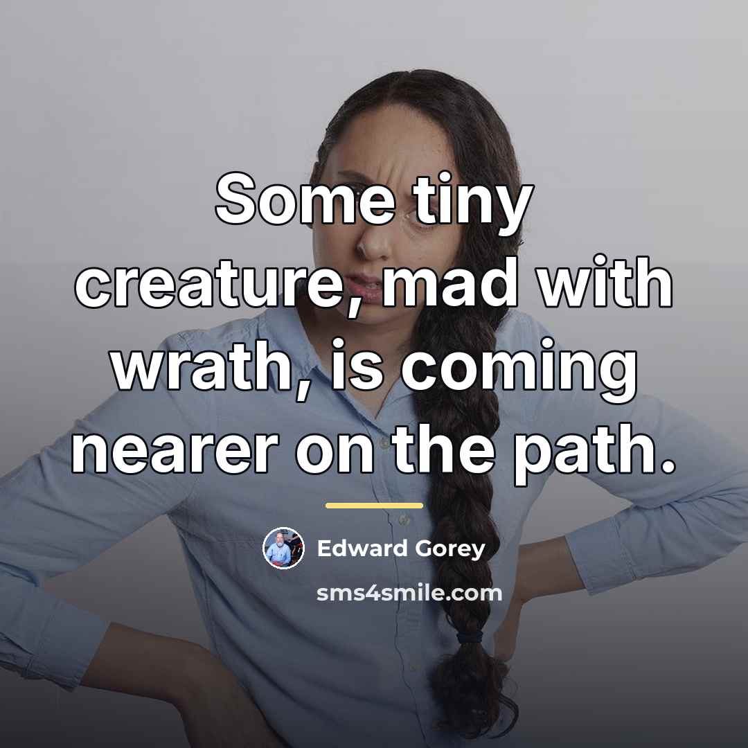 “Some tiny creature, mad with wrath, is coming nearer on…” quote by Edward Gorey