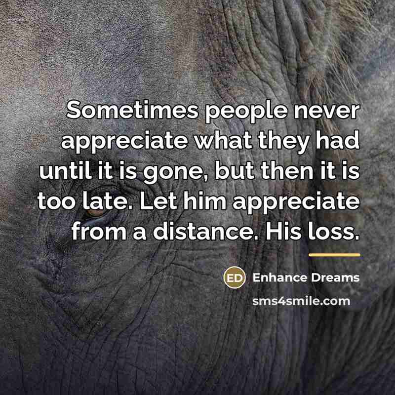 “Sometimes people never appreciate what they had until it is…” quote by Enhance Dreams