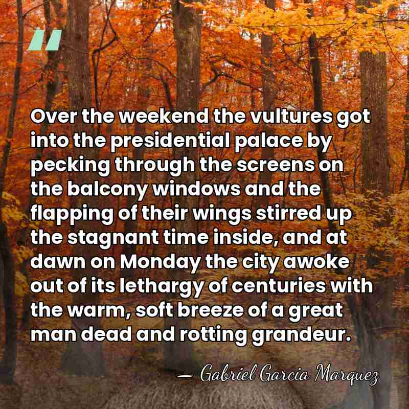 Over the weekend the vultures got into the presidential palace by pecking&hellip; - Gabriel Garcia Marquez
