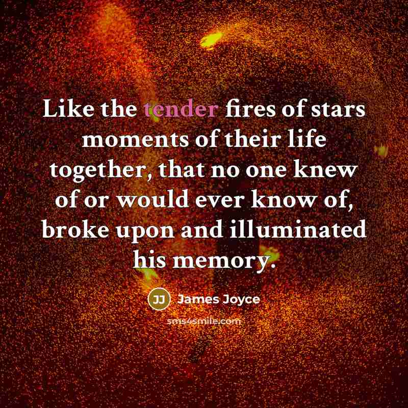 “Like the tender fires of stars moments of their life…” quote by James Joyce