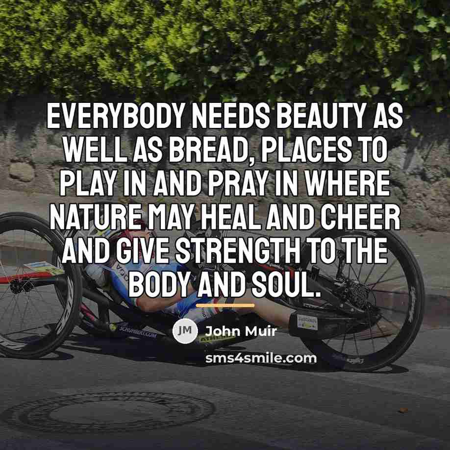“Everybody needs beauty as well as bread, places to play…” quote by John Muir