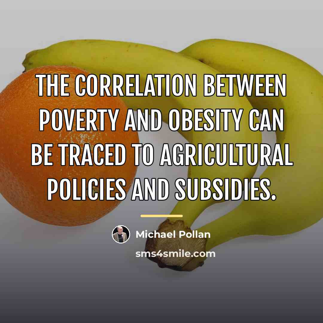 “The correlation between poverty and obesity can be traced to…” quote by Michael Pollan