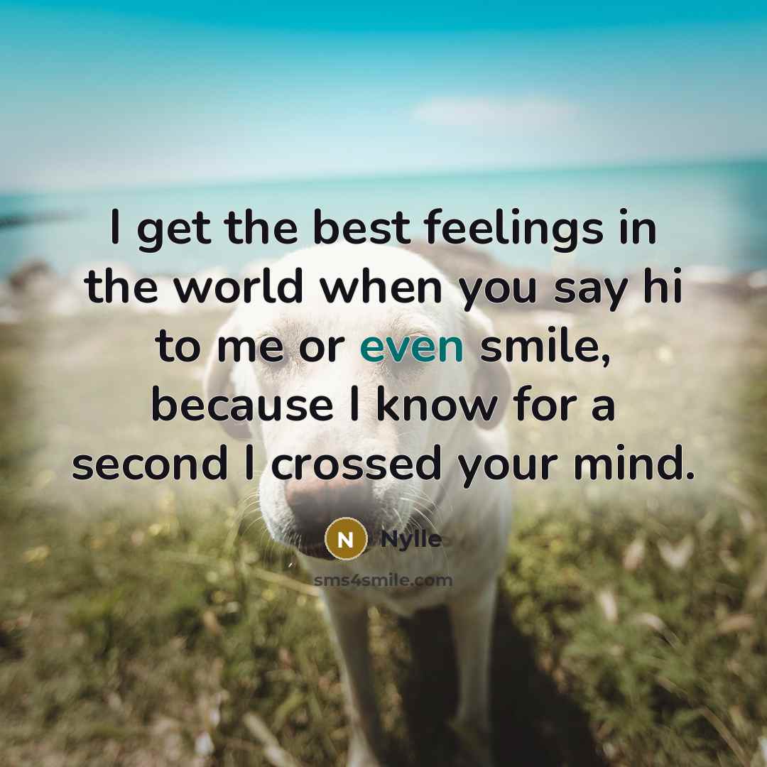 “I get the best feelings in the world when you…” quote by Nylle