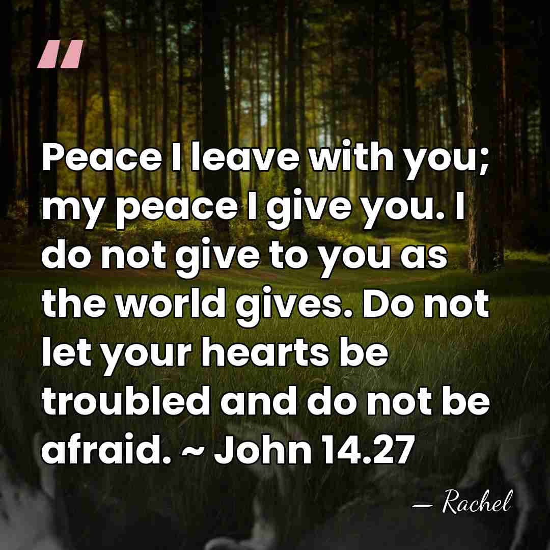 Peace I leave with you; my peace I give you. I do&hellip; - Rachel