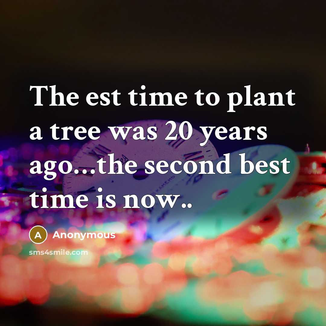 “The est time to plant a tree was 20 years ago…the second best time is now..” quote by Anonymous