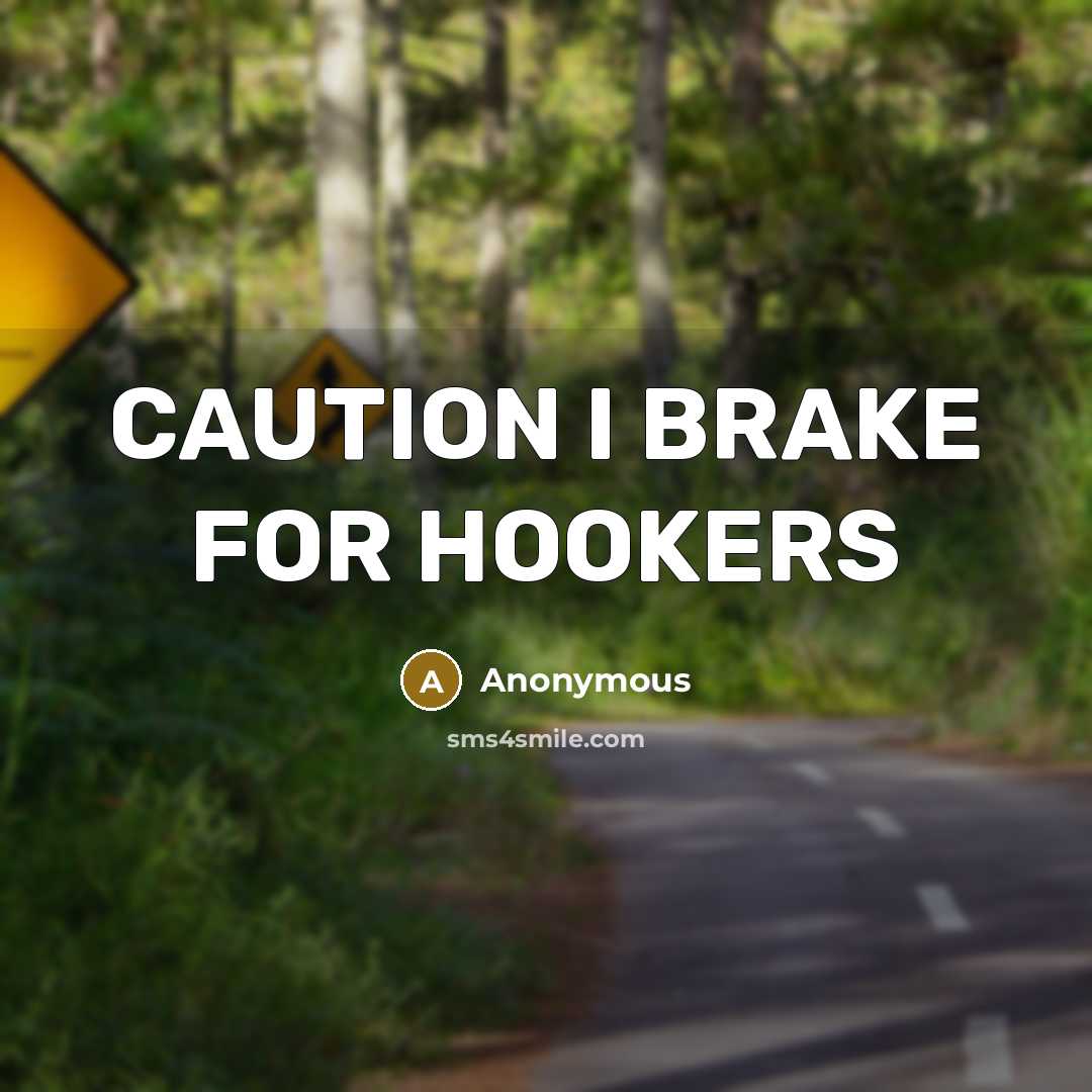 “CAUTION I BRAKE FOR HOOKERS…” quote by Anonymous
