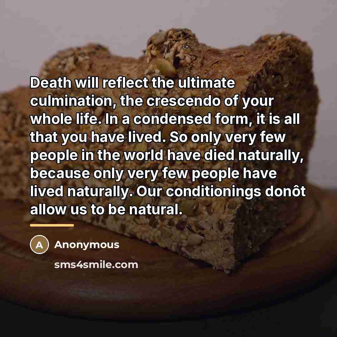 “Death will reflect the ultimate culmination, the crescendo of your…” quote by Anonymous