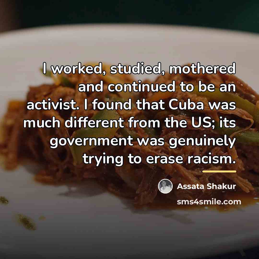 “I worked, studied, mothered and continued to be an activist.…” quote by Assata Shakur